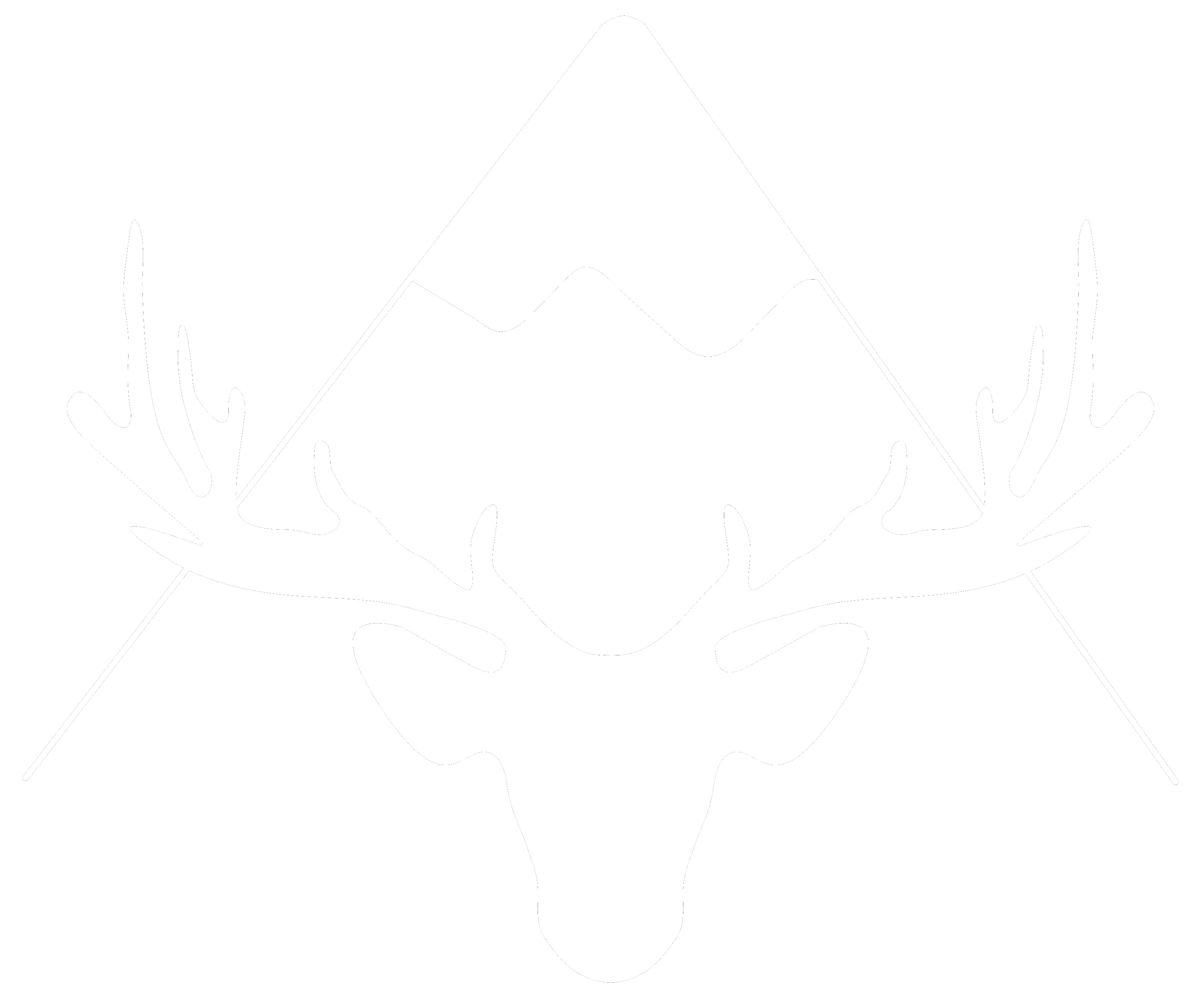 logo_transparent-neu